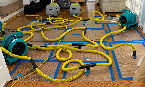 Professional Basement Flood Cleanup technician working in Mauldin, SC